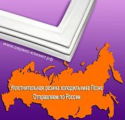 Уплотнительная резина для холодильника Pozis-Свияга 158-1